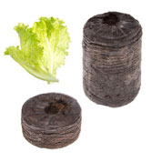 Cpsula listas-para-cultivar - Lechuga - Tregren